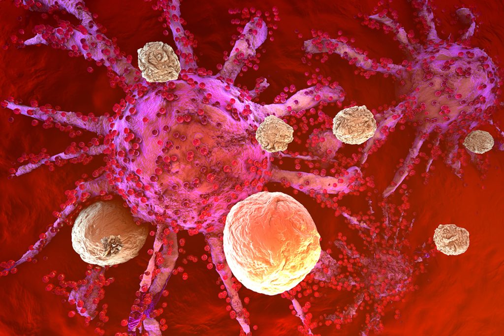6 Important Parts of the Immune System to Know | Alliance for ...