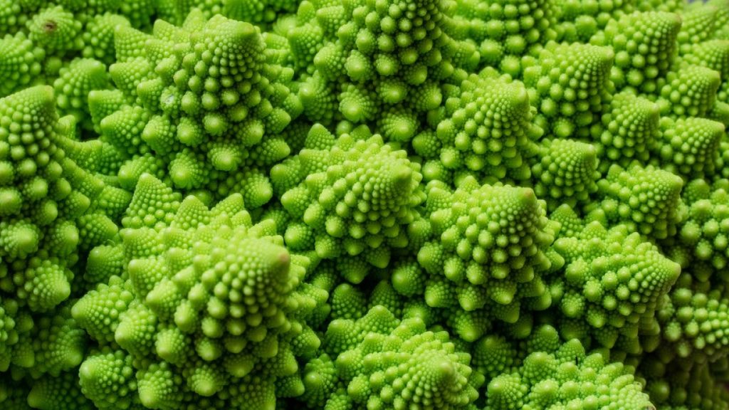 Study finds that by age 3 kids prefer nature's fractal patterns ...