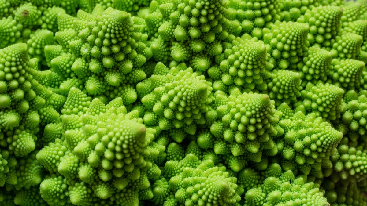 Study finds that by age 3 kids prefer nature's fractal patterns ...